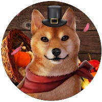 DogeGiving