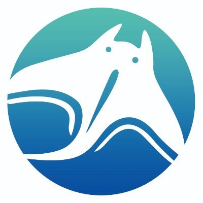 Manta Network